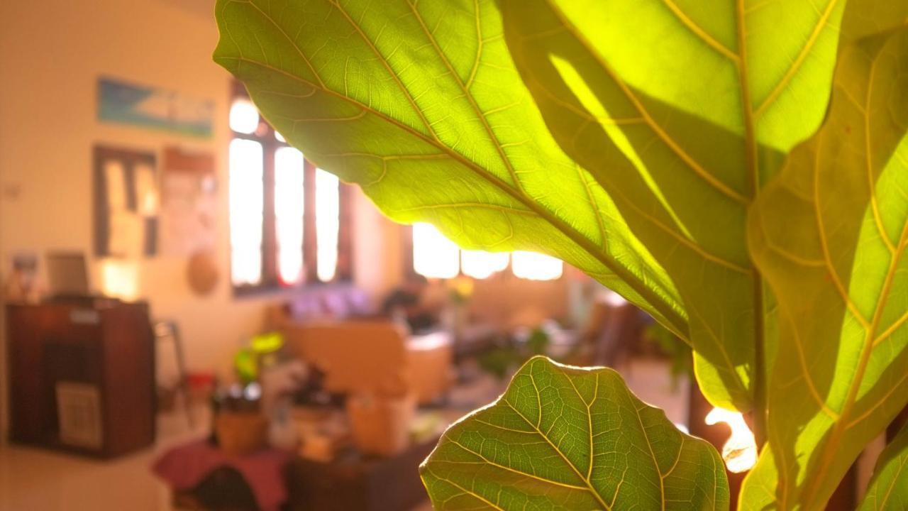 ホテル Misty Hill Dalat エクステリア 写真